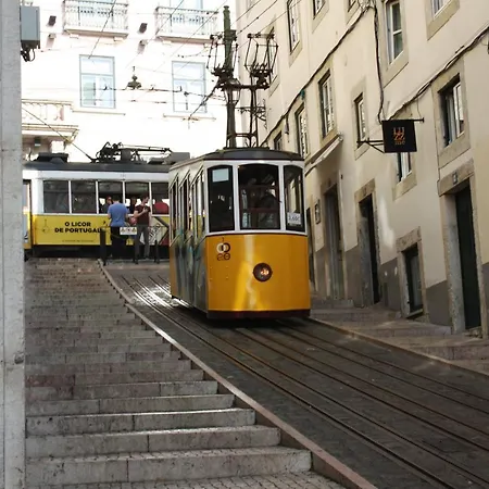 Yellow Bica *